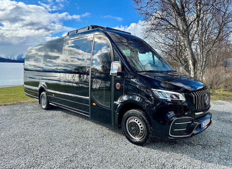 Picture 25 for Activity ⭐️ Northern Lights Adventure with Minibus, and pro Photos. 2