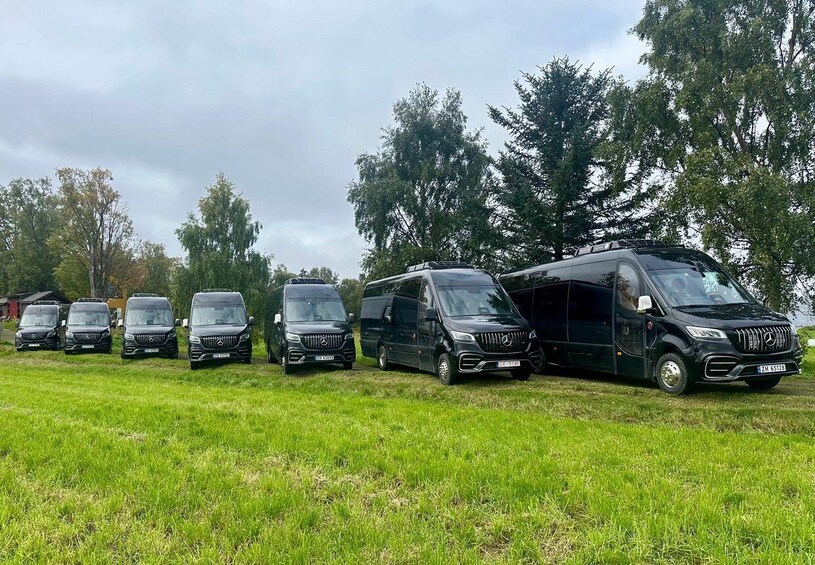 Picture 24 for Activity ⭐️ Northern Lights Adventure with Minibus, and pro Photos. 4