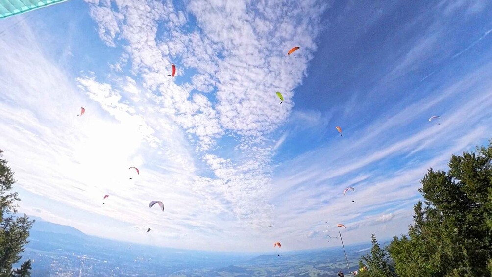 Picture 7 for Activity Salzburg like an eagle: tandem paragliding from Gaisberg 2