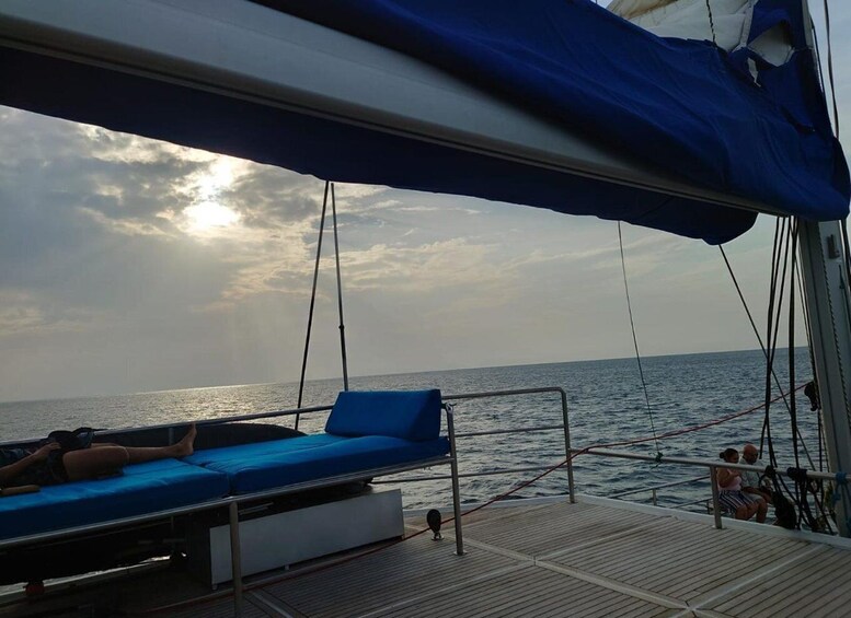 Picture 5 for Activity Whale Watching in a yacht in Trincomalee 2