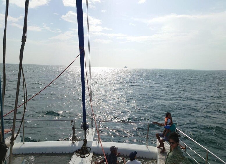 Picture 6 for Activity Whale Watching in a yacht in Trincomalee 3