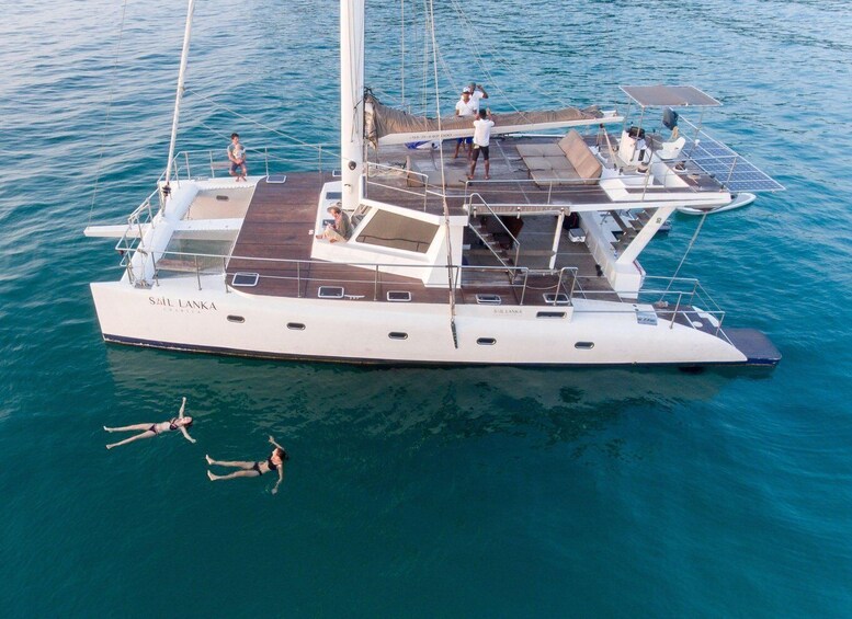 Whale Watching in a yacht in Trincomalee 2