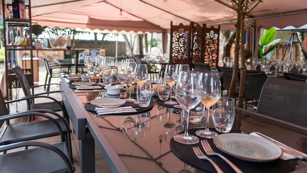Picture 23 for Activity Douro Valley:Private Wine Tour, Tradicional Lunch &Boat Trip 2