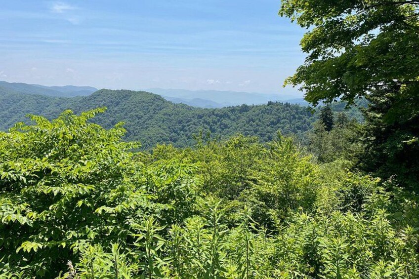 Small-Group Jeep Tour of Smoky Mountains Foothills Parkway 2