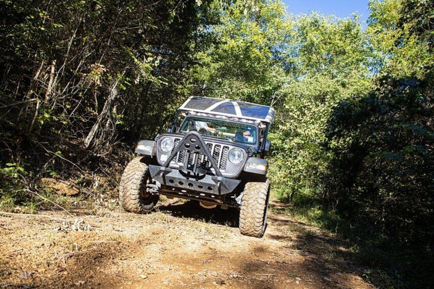 Small-Group Jeep Tour of Smoky Mountains Foothills Parkway 1