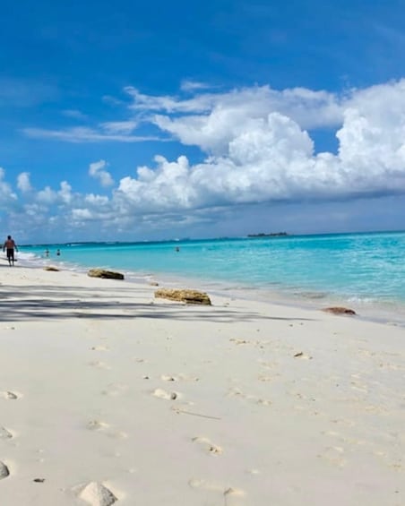 Picture 20 for Activity Nassau: ROSE ISLAND PERFECT BEACH DAY GROUP GETAWAY 2
