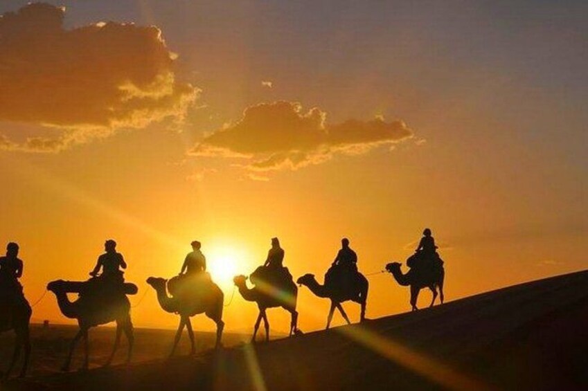 Agafay Desert Dinner Show with Quad Bike and Sunset Camel Ride 2