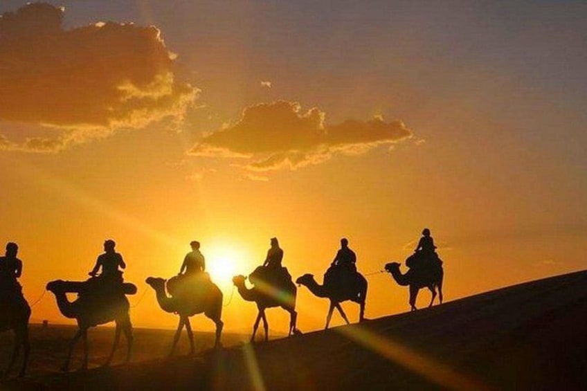 Agafay Desert Dinner Show with Quad Bike and Sunset Camel Ride 2