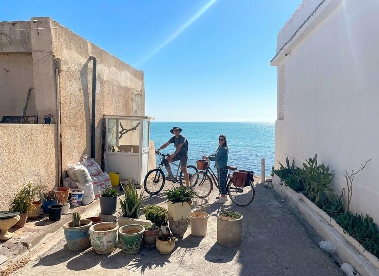 A coastal scene with two bicycles, potted plants, and a clear view of the sea. 2