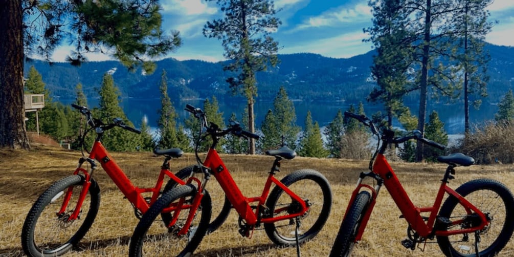 Picture 3 for Activity Coeur d’Alene: E-Bike Rental 4