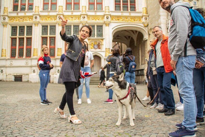 Bringing your dog is no problem 1