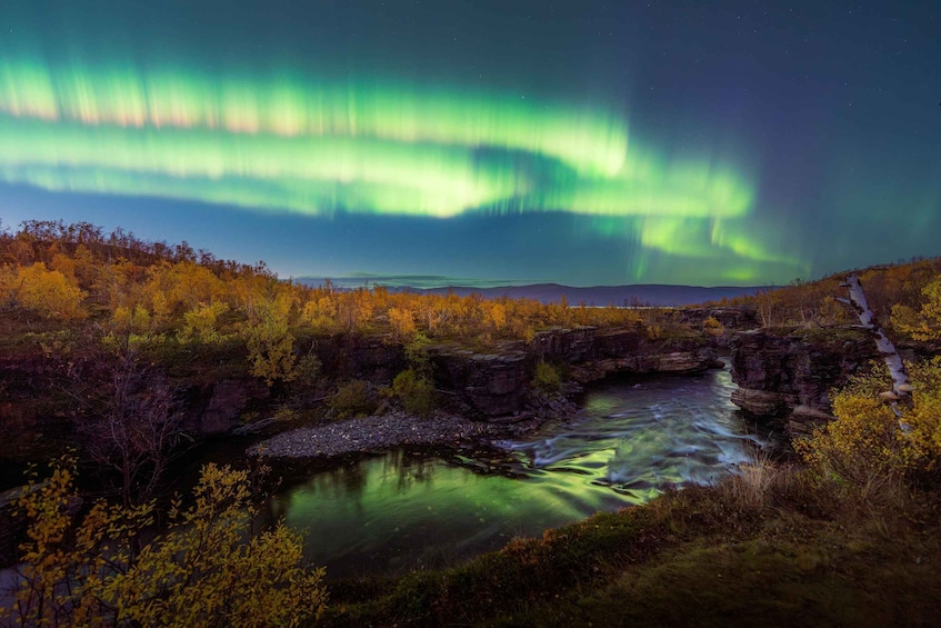 A river flowing through a forest with autumn foliage and the Northern Lights above. 1