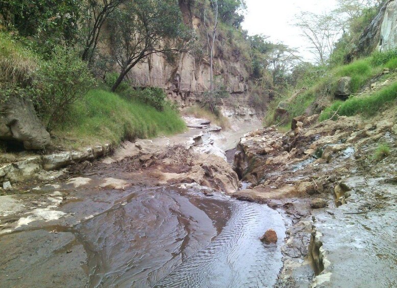 Picture 66 for Activity From Nairobi: 2-Day Naivasha Safari with Accommodation 4