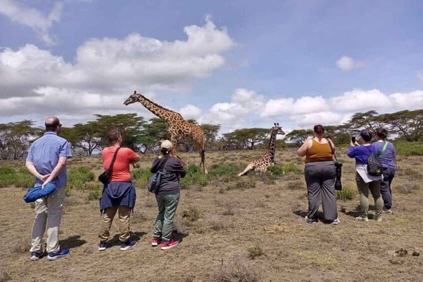Picture 45 for Activity From Nairobi: 2-Day Naivasha Safari with Accommodation 3