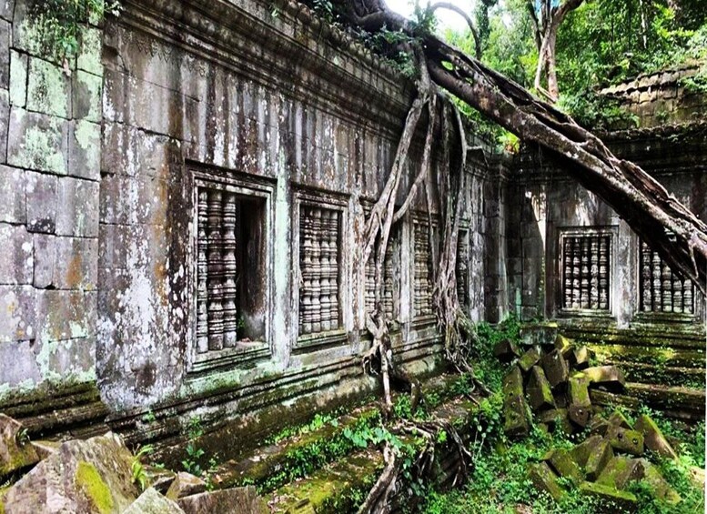 An ancient temple with overgrown vegetation and crumbling stone walls. 5