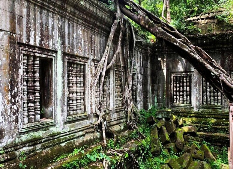 A weathered ancient temple with overgrown vegetation and fallen trees. 1