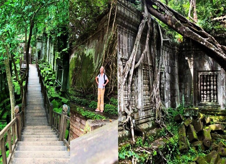 A staircase surrounded by lush greenery leading to a temple with overgrown roots. 4