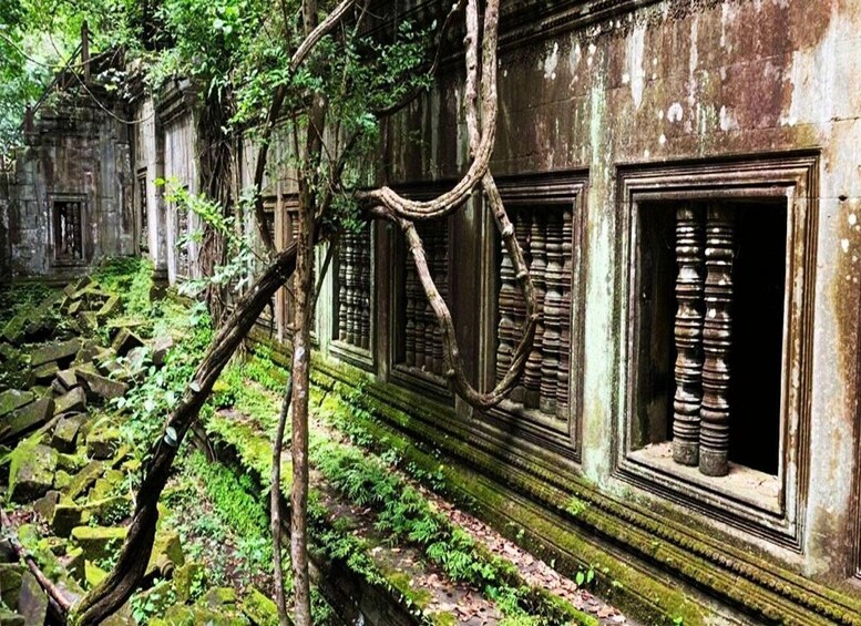 An ancient temple with overgrown vegetation and moss-covered stone structures. 2
