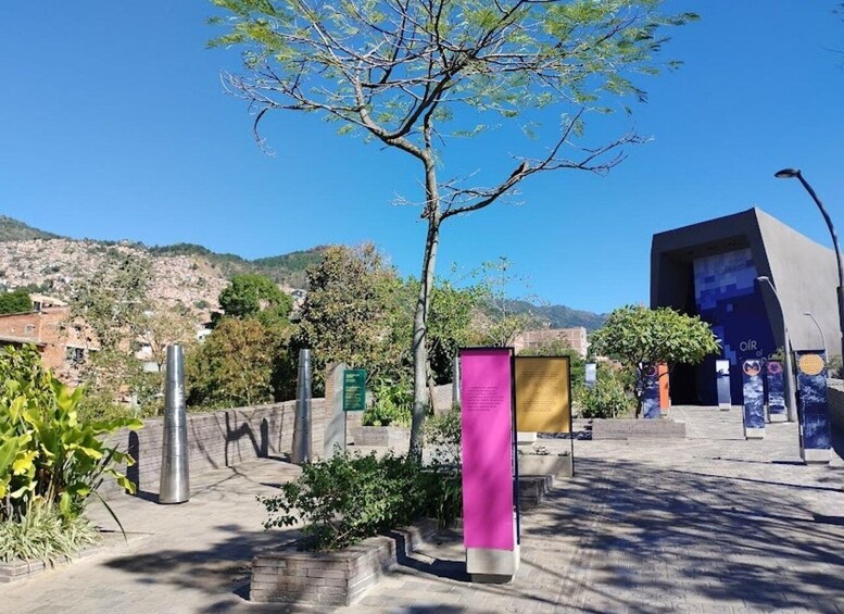 Edifici modern amb una arquitectura singular, envoltat d'una zona enjardinada amb un arbre i indicadors informatius. 4