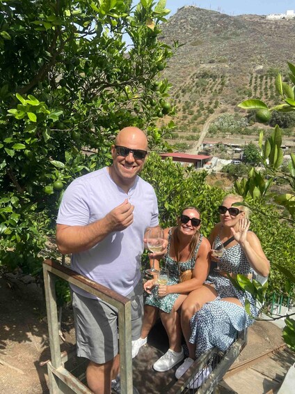 Picture 6 for Activity Gran Canaria: Best Wineries and Views Tour 2
