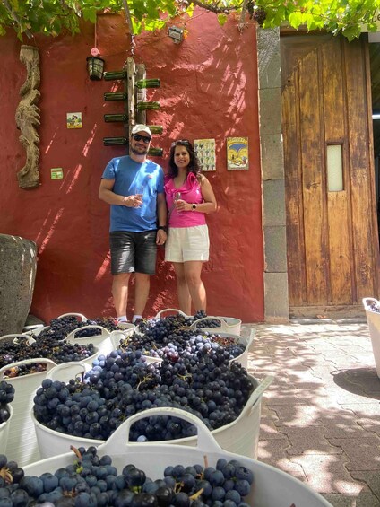 Picture 8 for Activity Gran Canaria: Best Wineries and Views Tour 4