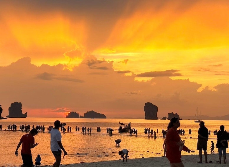 Picture 12 for Activity Krabi: Phi Phi Island Sunset with BBQ Dinner & Plankton 5