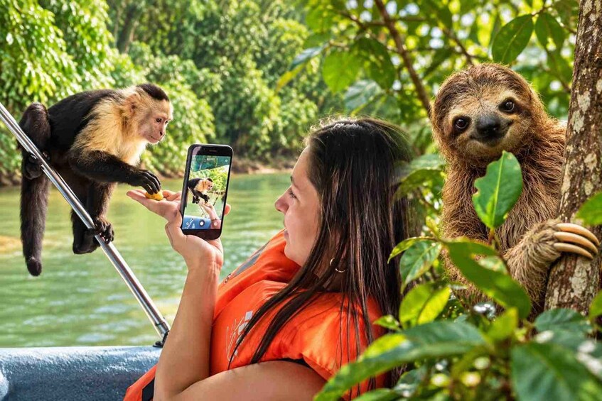 Panama: Monkey Island, Sloth Sanctuary and Panama Canal Tour 1