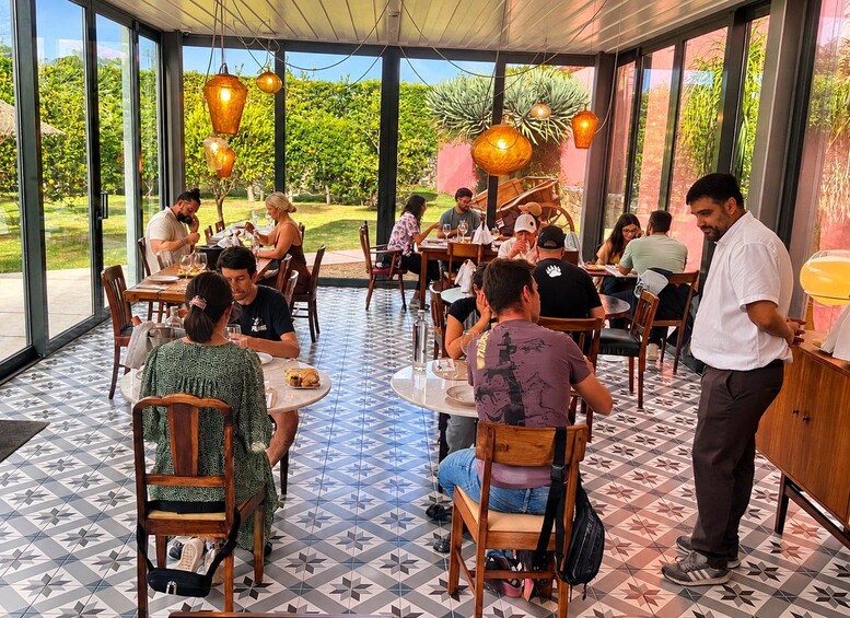 Picture 11 for Activity Ponta Delgada: Pineapple wine tasting and pineapple tour 5