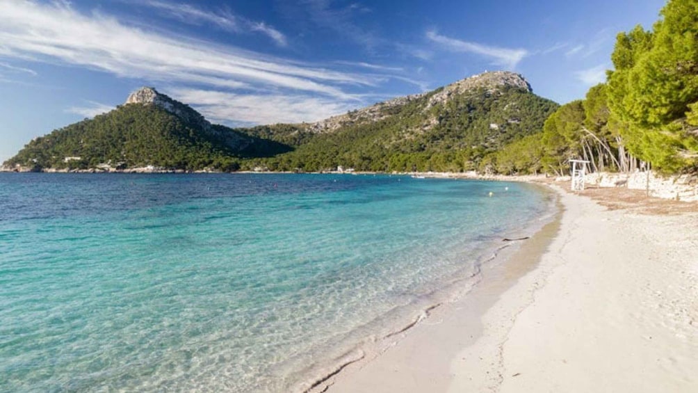 Picture 1 for Activity Can Picafort or Alcudia: FORMENTOR BEACH 5