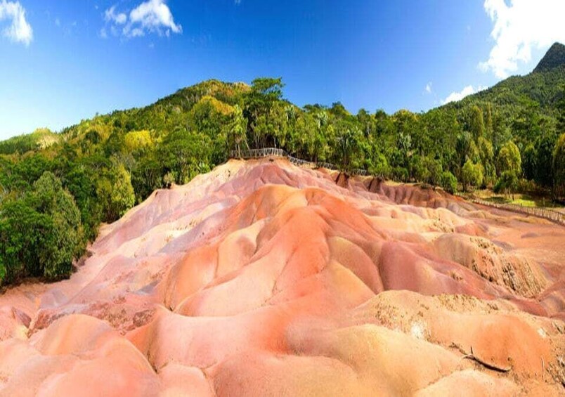 Picture 6 for Activity Mauritius: Dolphin Encounter Boat Tour and 7 Colored Earths