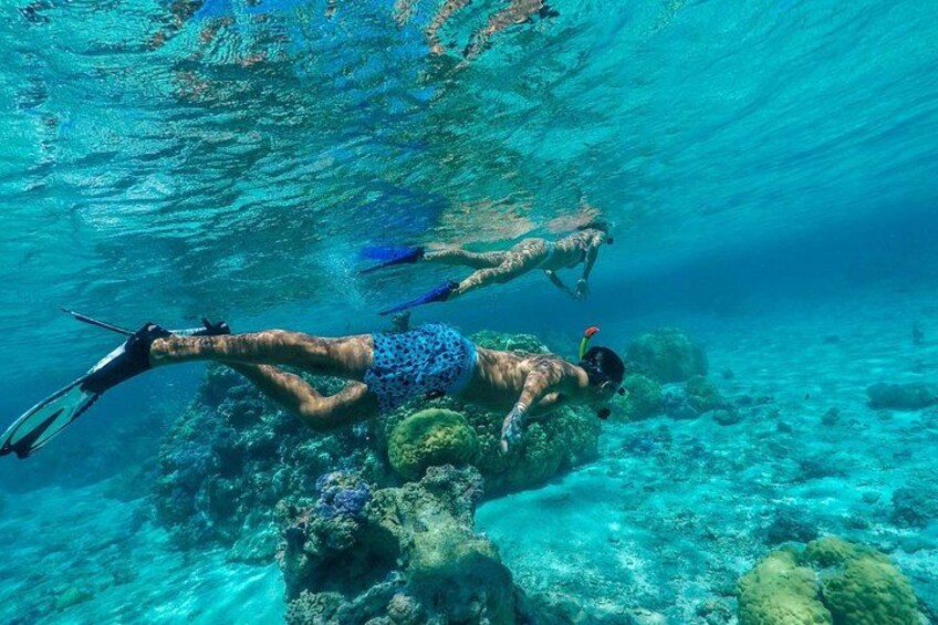 Bora Bora luxury half day private snorkeling lagoon tour 1
