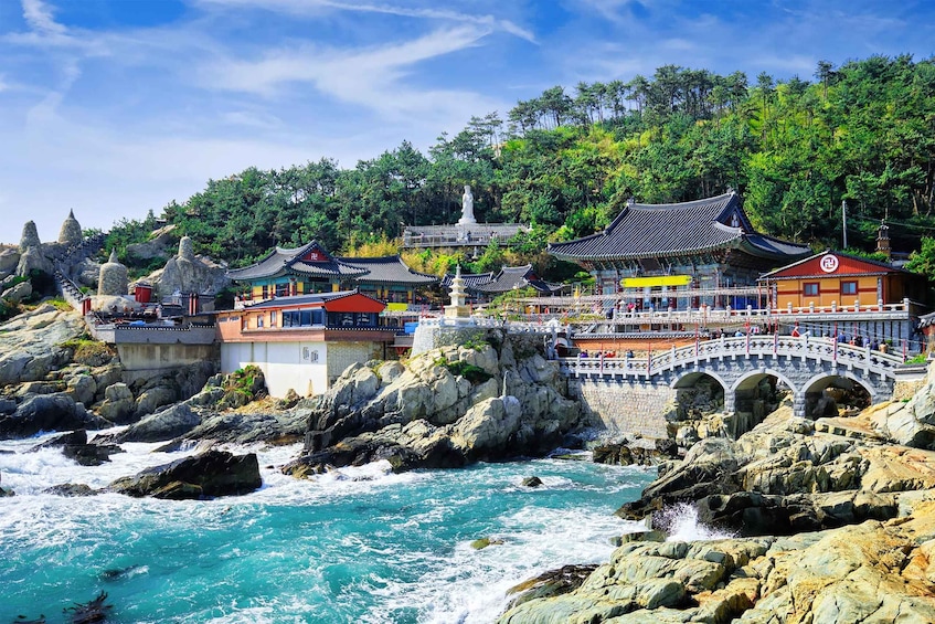 Picture 17 for Activity Busan: Sky Capsule, Gamcheon, Haeundae Blueline Park & more 3