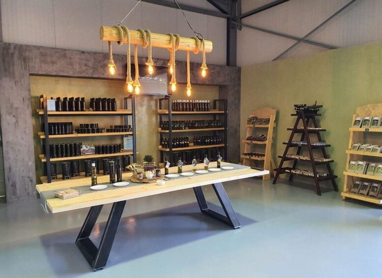 Picture 7 for Activity Private Olive Oil Tour & Tasting with Lunch from Katakolo 4