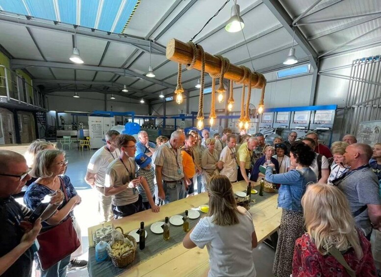 Picture 6 for Activity Private Olive Oil Tour & Tasting with Lunch from Katakolo 3