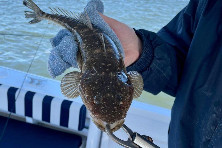 Gold Coast's Broadwater Private Calm Water Fishing 2