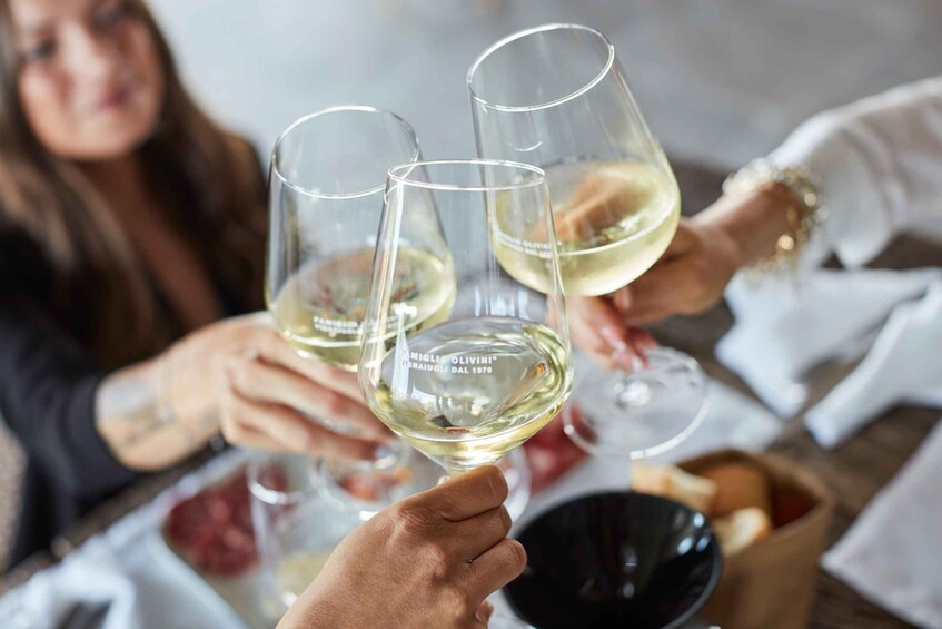 Desenzano: Lugana Wine-Tasting and Vineyard Tour 1