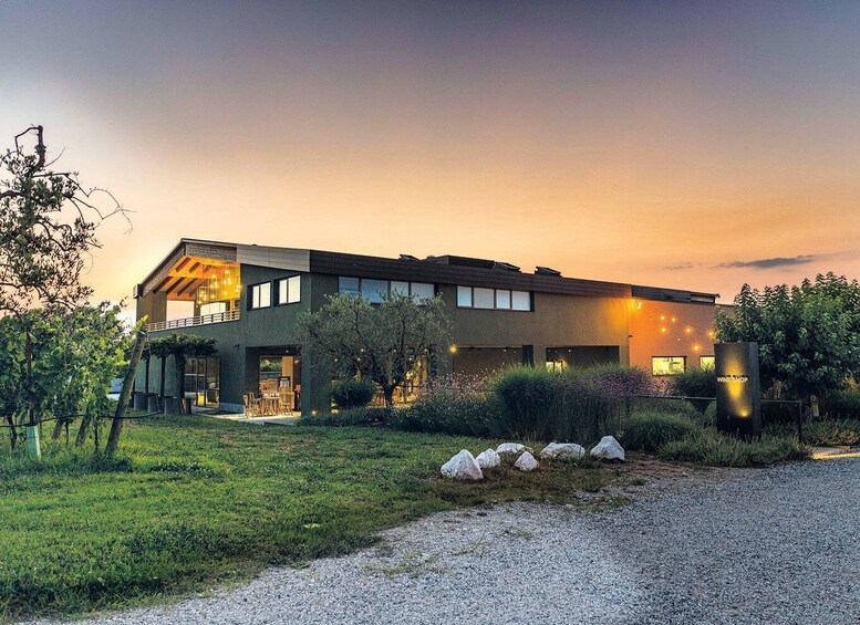Picture 2 for Activity Desenzano: Lugana Wine-Tasting and Vineyard Tour 2