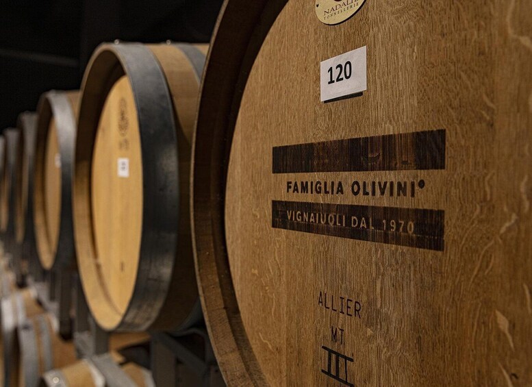 Picture 6 for Activity Desenzano: Lugana Wine-Tasting and Vineyard Tour 4