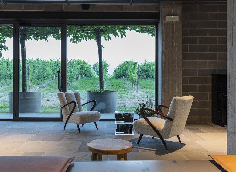 Picture 8 for Activity Desenzano: Lugana Wine-Tasting and Vineyard Tour 3