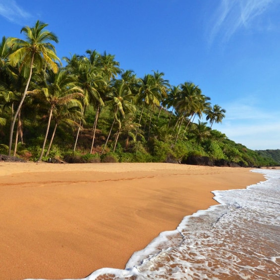 A sandy beach with palm trees and ocean waves. 2