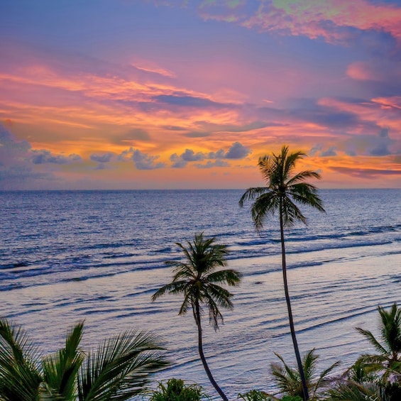A sunset over the ocean with palm trees in the foreground. 1