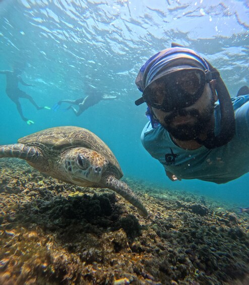 Un buceador nada junto a una tortuga marina cerca de un arrecife de coral. 3