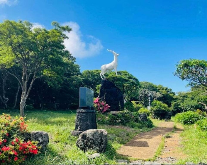 Picture 14 for Activity Jeju: Western and Southern Sightseeing Day Tour 5