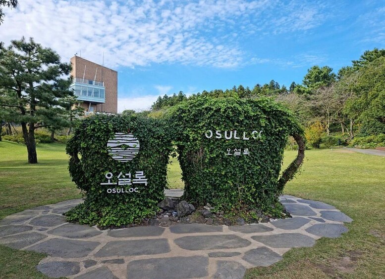 Picture 17 for Activity Jeju: Western and Southern Sightseeing Day Tour 5