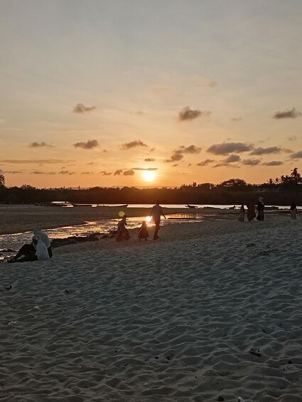 Picture 7 for Activity From Diani: Kisite Sun-down Dhow Cruise with hotel pickup 2