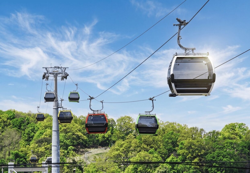 A cable car system with multiple gondolas suspended above a forested landscape. 3