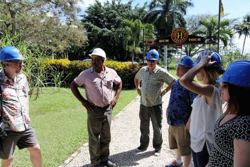 Picture 1 for Activity Private Hampden Estate Rum Trip from Montego Bay 2