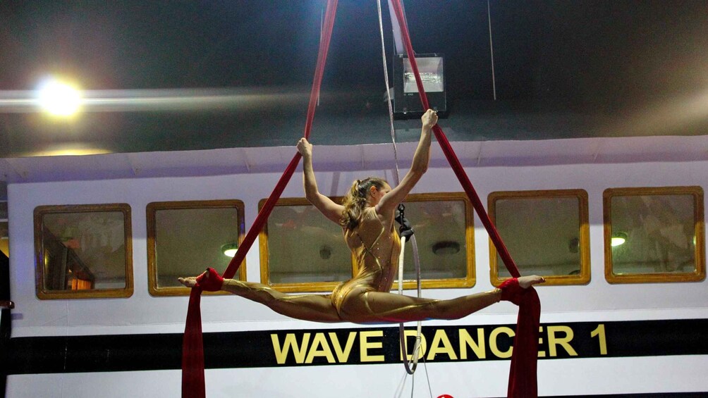 A person performing aerial acrobatics on red aerial silks with a banner reading "WAVE DANCER 1" in the background. 2