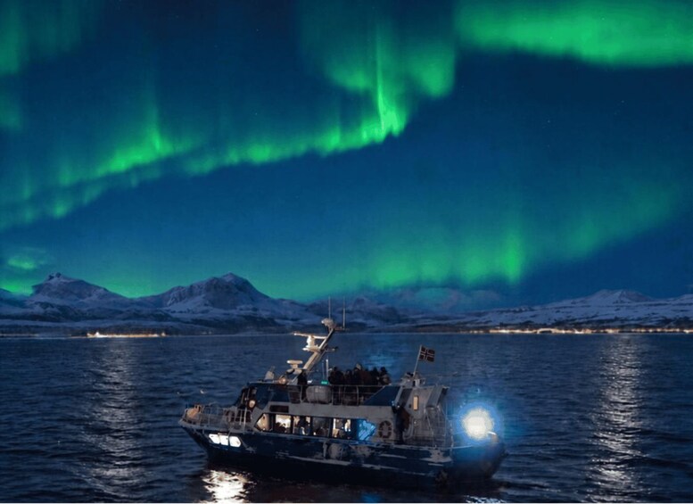 Tromsø: Evening Aurora Cruise 1