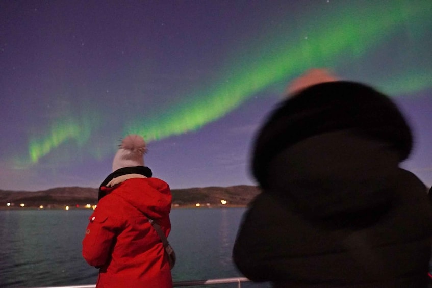 Una persona con chaqueta roja y gorro blanco observando las auroras boreales sobre un cuerpo de agua. 5